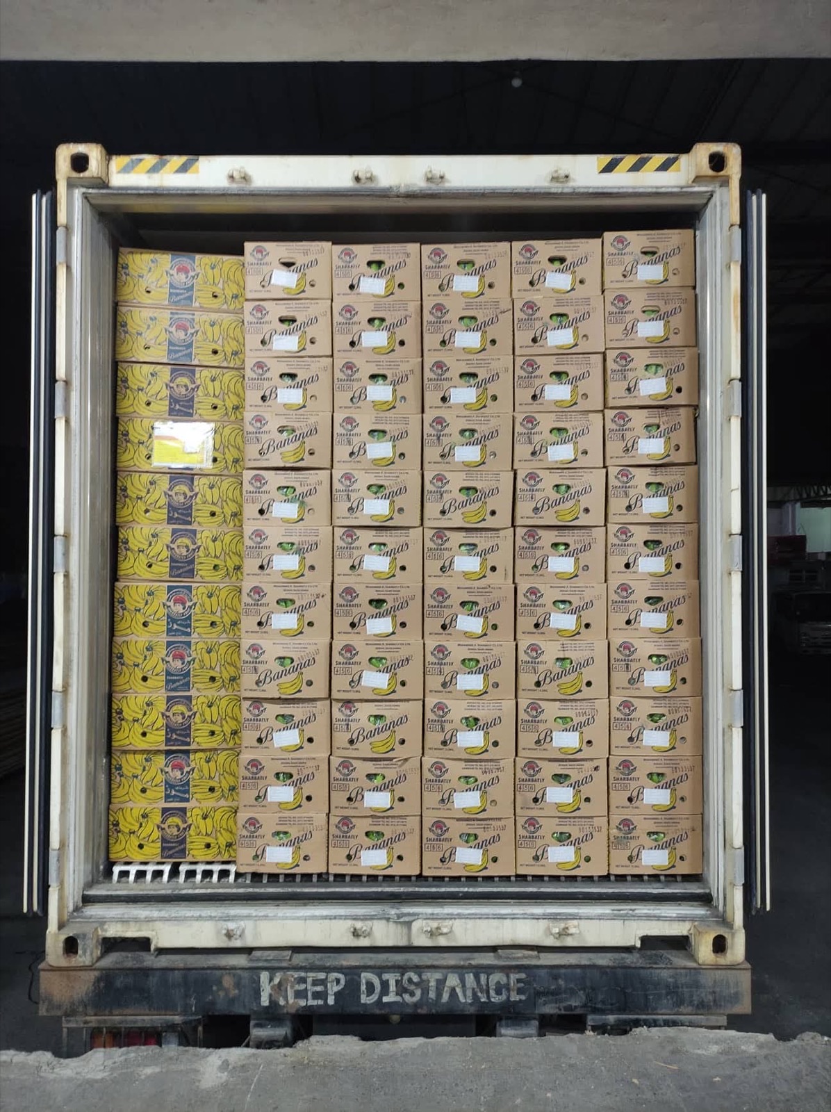 Shipping container loaded wall-to-wall with Sharbatly-branded banana cartons bound for the Middle East